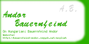 andor bauernfeind business card